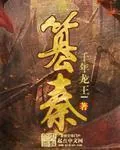 《篡秦》小说封面