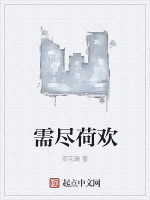 《需尽荷欢》小说封面