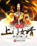 《神级上门女婿》小说封面