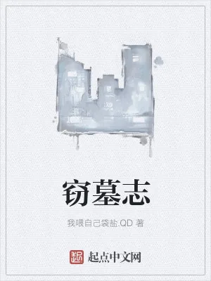 《窃墓志》小说封面