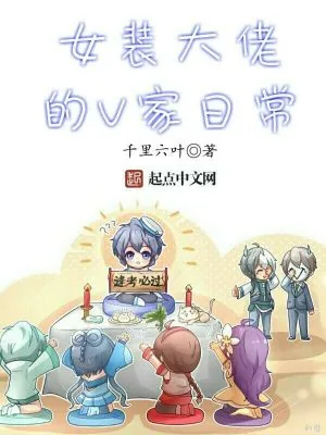 《女装大佬的V家日常》小说封面