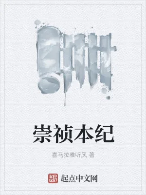《崇祯本纪》小说封面