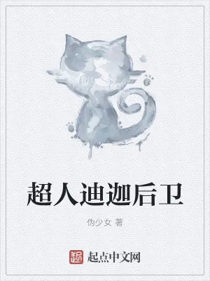 《超人迪迦后卫》小说封面