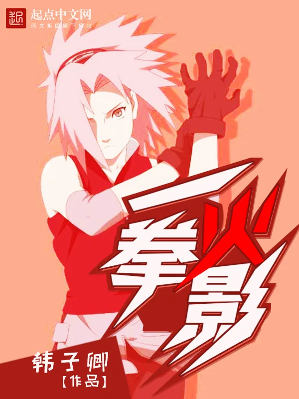 《一拳火影》小说封面