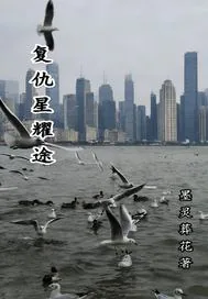 《复仇星耀途》小说封面