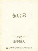 《东启记》小说封面