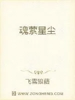 《魂萦星尘》小说封面