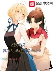 《诸天从第四次圣杯战争开始》小说封面