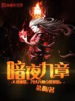 《暗夜九章》小说封面