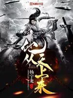 《他从天上来》小说封面
