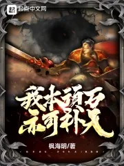 《我本顽石，亦可补天！》小说封面