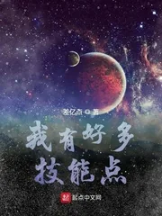 《我有好多技能点》小说封面