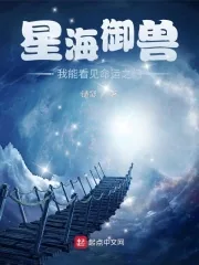 《星海御兽：我能看见命运之门》小说封面