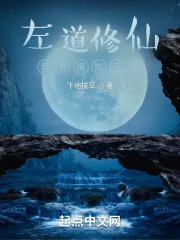《左道修仙：我靠模拟无敌》小说封面
