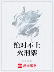 《绝对不上火刑架》小说封面