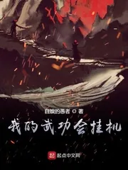 《我的武功会挂机》小说封面