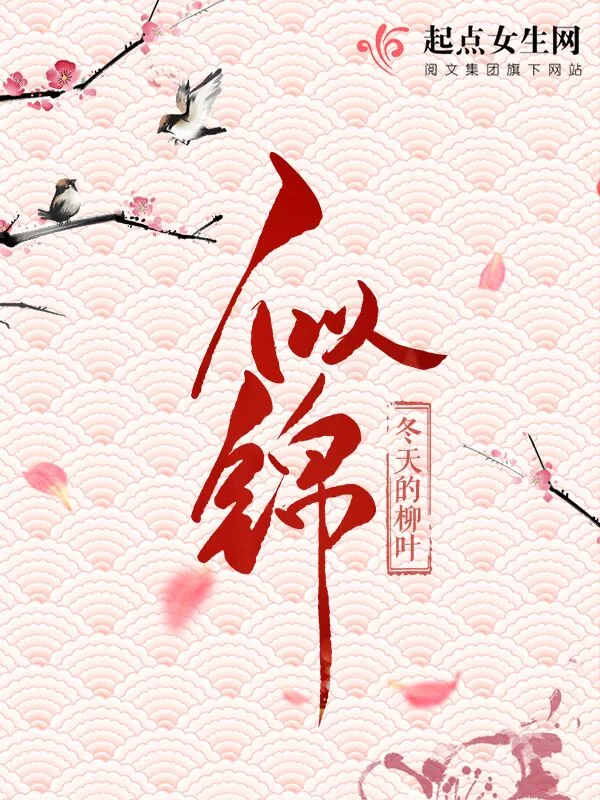 《似锦》小说封面