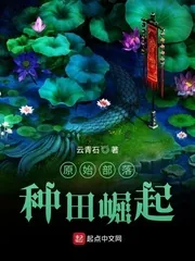 《原始部落种田崛起》小说封面
