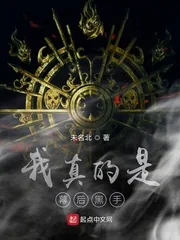 《我真的是幕后黑手》小说封面