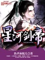 《星河剑帝》小说封面