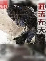 《武法无天》小说封面