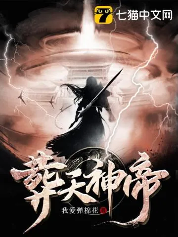 《葬天神帝》小说封面