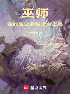 《巫师：我的职业面板没有上限》小说封面