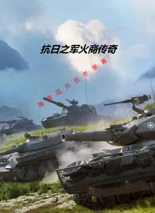 《我在抗日卖军火》小说封面