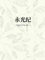 《永光纪》小说封面
