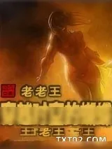 《穿越时空的蝴蝶》小说封面