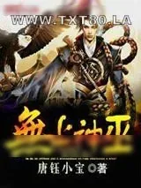 《无上神巫》小说封面