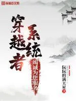 《穿越者系统竭诚为您服务》小说封面