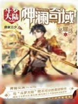 《神澜奇域圣耀珠》小说封面