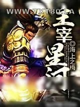 《主宰星河》小说封面