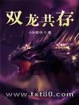 《双龙共存》小说封面
