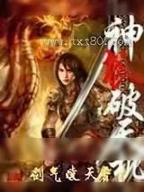 《神武破天机》小说封面