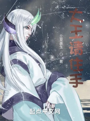 《大王请住手》小说封面