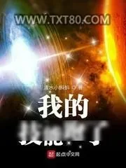 《我的技能跑了》小说封面