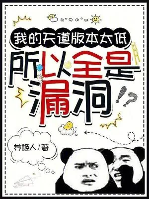 《我的天道版本太低，所以全是漏洞》小说封面
