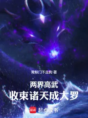 《两界高武：收束诸天成大罗》小说封面