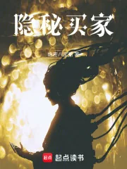 《隐秘买家》小说封面