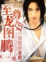 《至尊龙图腾》小说封面