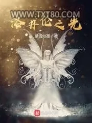 《洛丹伦之光》小说封面
