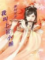 《梦回汉宫，我叫上官小妹》小说封面