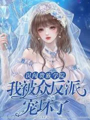《误闯贵族学院,我被众反派宠坏了》小说封面