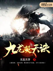 《九龙焚天诀》小说封面