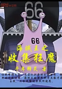 《海贼王之收集狂魔》小说封面