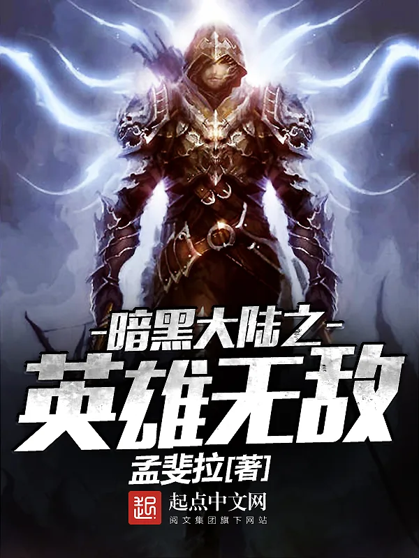 《暗黑大陆之英雄无敌》小说封面