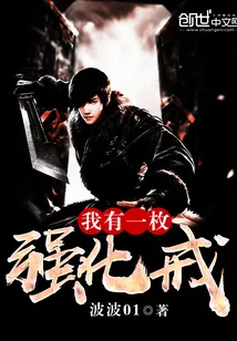 《我有一枚强化戒》小说封面
