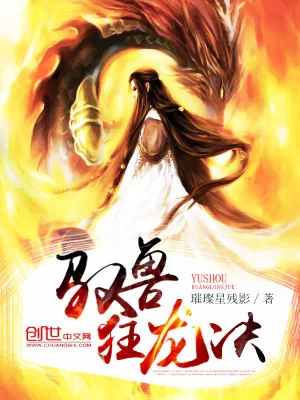 《驭兽狂龙决》小说封面